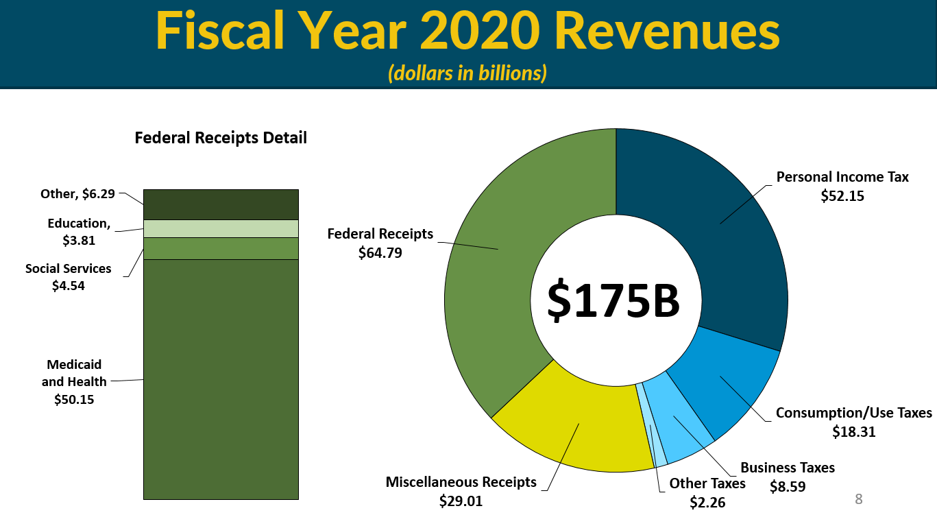 Fiscal Year 2020 Revenues